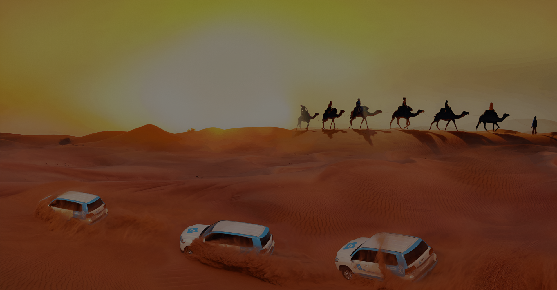 Dubai Desert Safari (3)