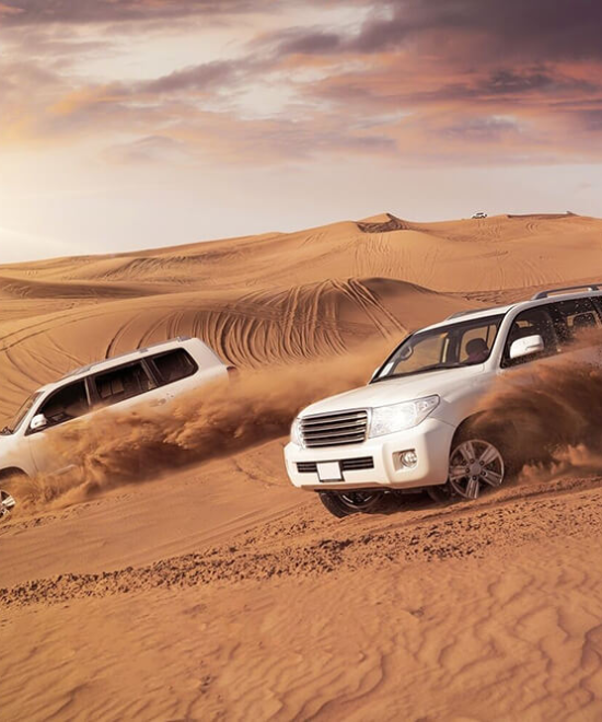 Morning Desert Safari (Sharing)