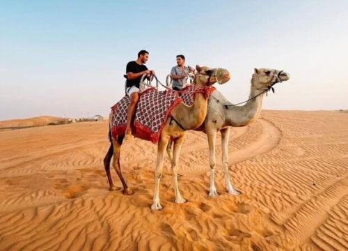 Morning Desert Safari with Camel Ride