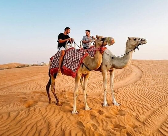 Morning Desert Safari with Camel Ride
