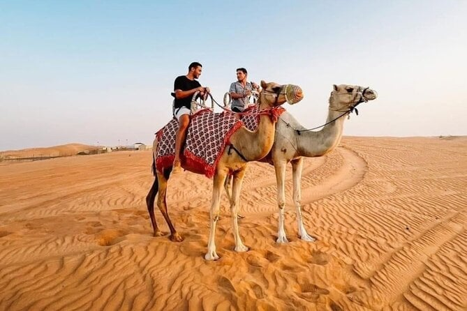 Morning Desert Safari with Camel Ride