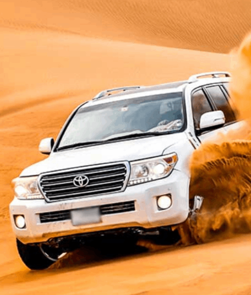 Desert Safari