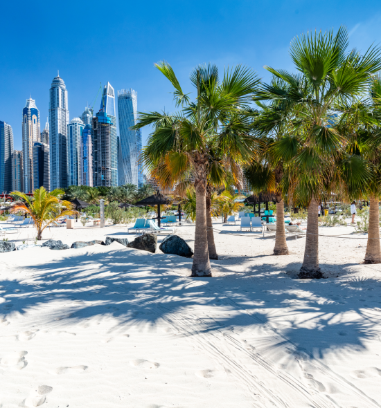 Discovery Dubai