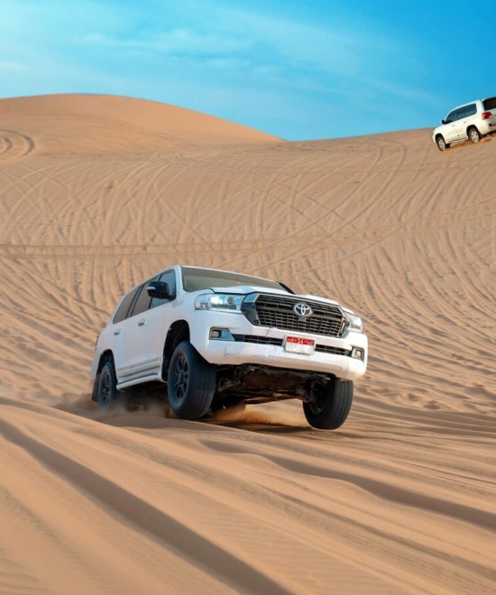 Premium Evening Desert Safari (Sharing)